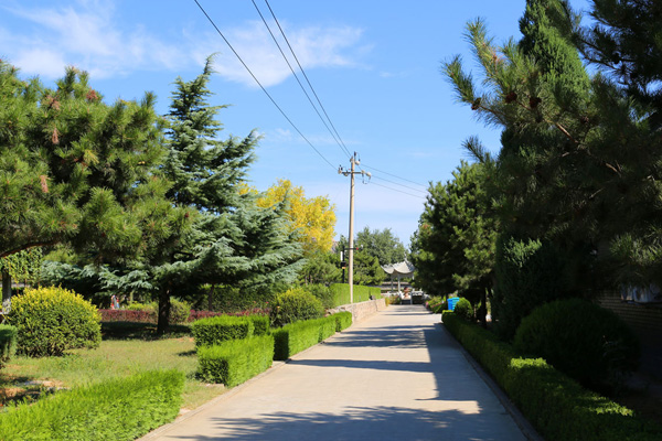 海淀区长安园骨灰林全面推行绿色祭扫，以生态守护寄托哀思
