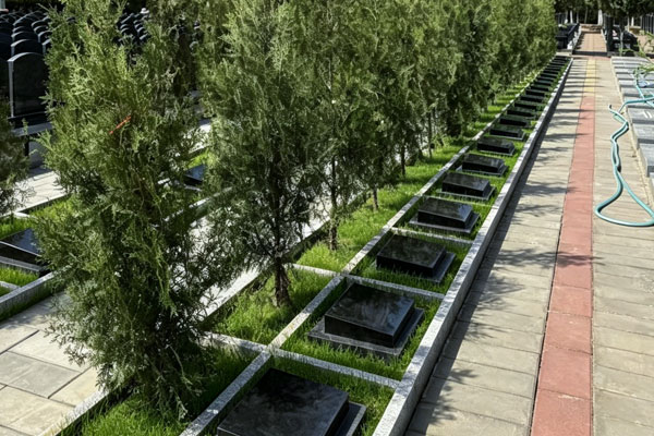 告别高价与不便！北京树葬选中华永久陵园更省心
