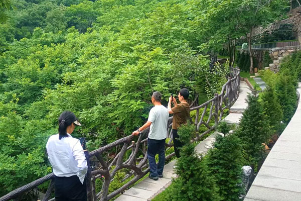 天顺祥选墓顾问盛夏奔波，用心陪同家属选好墓
