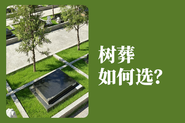 北京高性价比树葬陵园怎么选？景仰园与中华永久陵园哪家好？