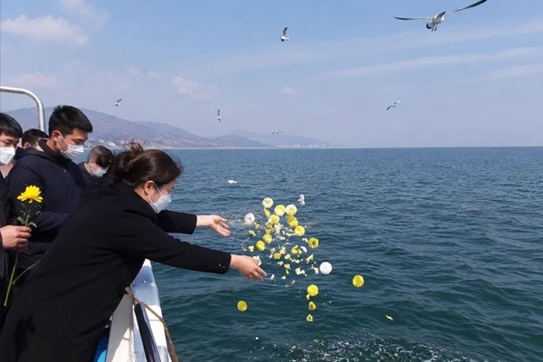 北京生态葬怎么选？海葬、树葬、壁葬优缺点与适用家庭详解