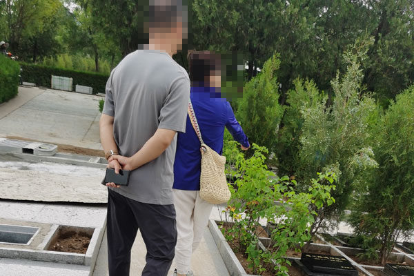 高性价比墓地怎么选?中华永久陵园树葬成任女士首选