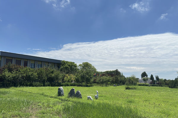 选墓顾问贾荣华：北京大兴区选墓地，南部这座陵园值得重点看一看