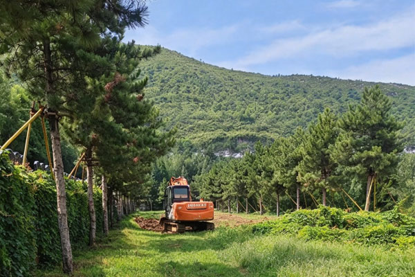 北京东部三河灵山宝塔陵园新墓区在建，传统立碑价格亲民