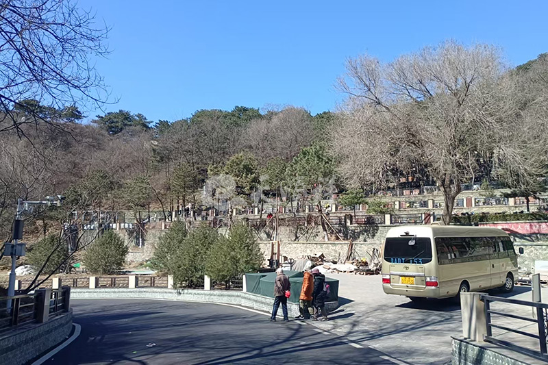 免费带看