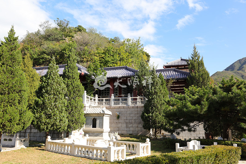 园区绿化景观