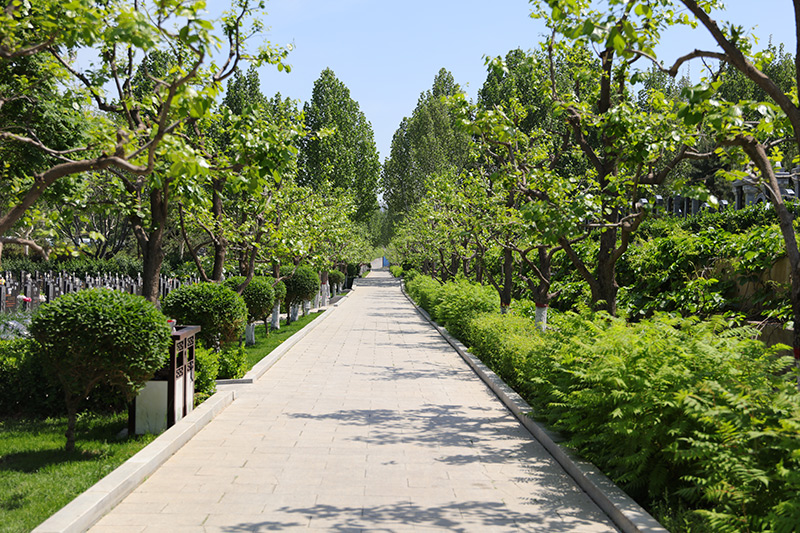 灵山宝塔陵园环境