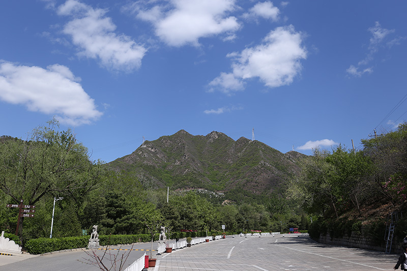 陵园停车区