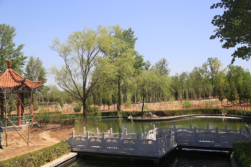 陵园水系景观