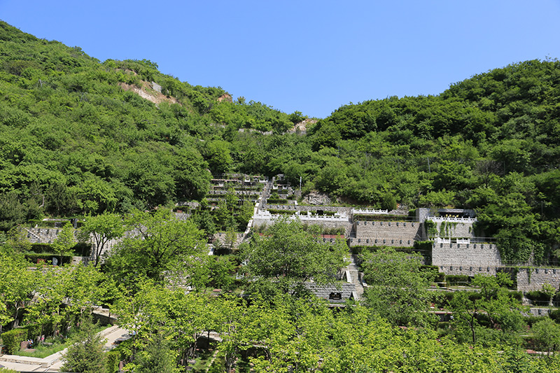 九公山长城纪念林