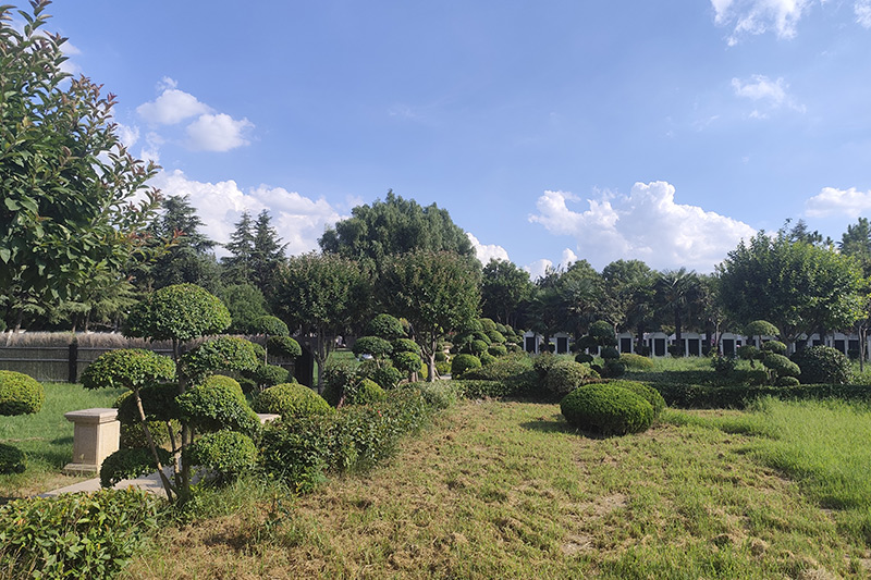 园区绿化 园区绿化