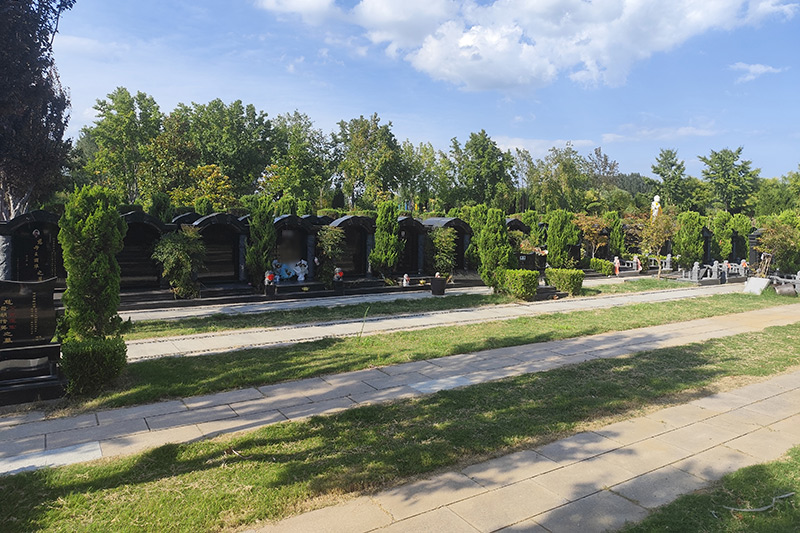 环境实拍 环境实拍