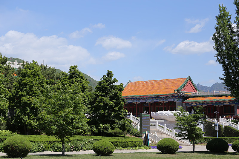 陵园绿化