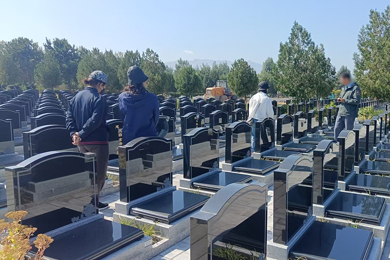 选墓现场