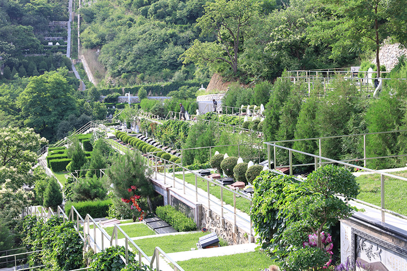 墓区景观 墓区景观