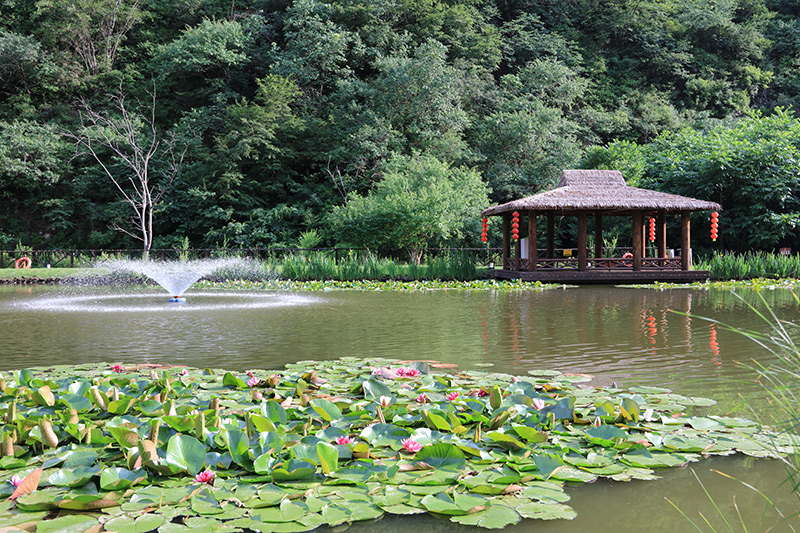 思亲湖景观 思亲湖景观