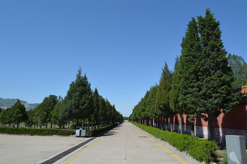 园区道路景观