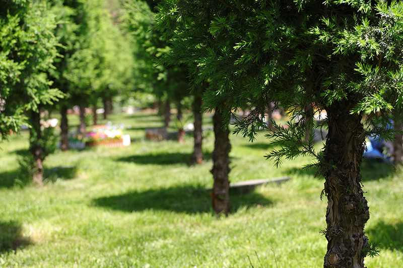 如意园景观绿化 如意园景观绿化