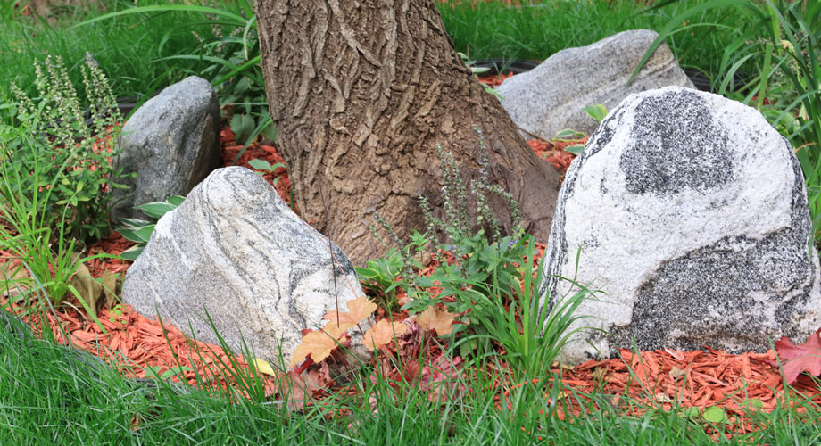 九公山长城纪念林单穴生态树葬28000元 九公山长城纪念林单穴生态树葬28000元