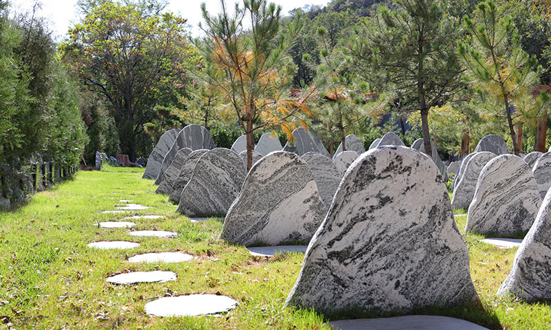 多样化的安葬形式-骨灰寄存和室外生态葬