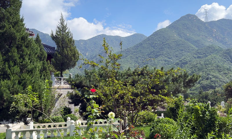 怀思堂各个建筑掩映在参松绿叶中