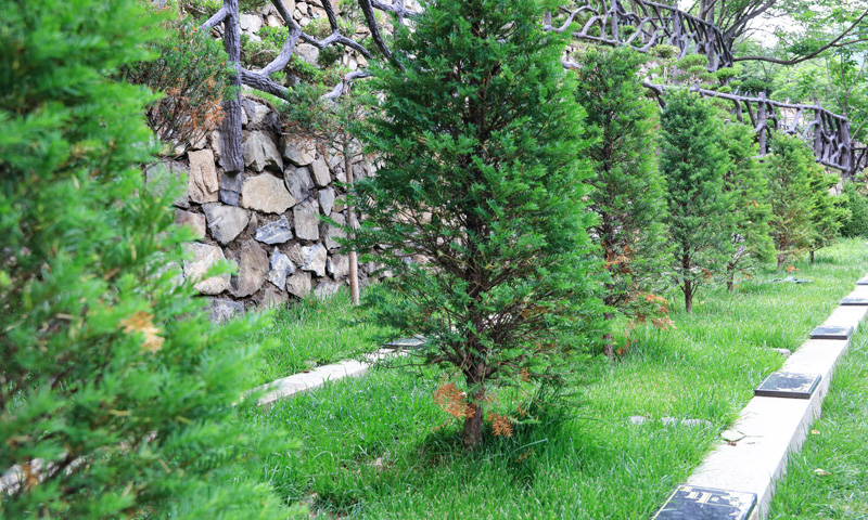 九公山树葬-入土为安 九公山树葬-入土为安