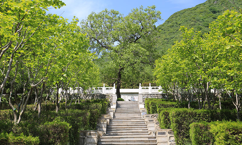 九公山陵园风光