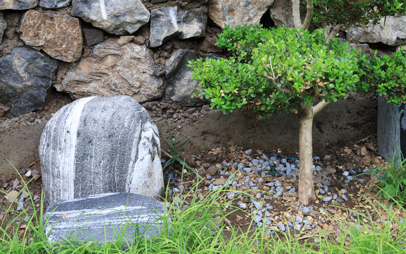 李女士为丈夫选的树葬墓型