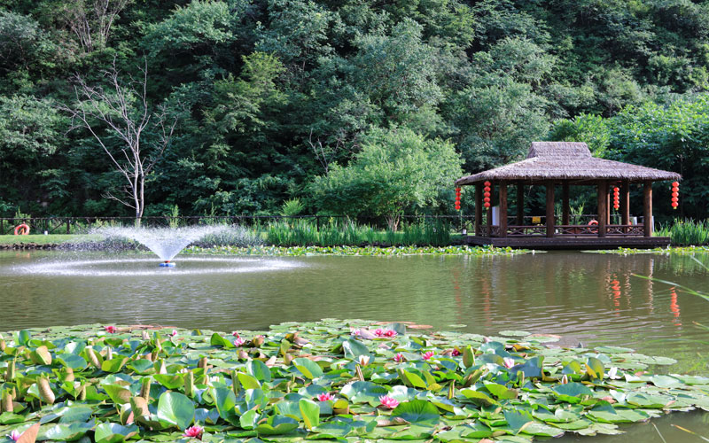 九公山墓区附近的思亲湖