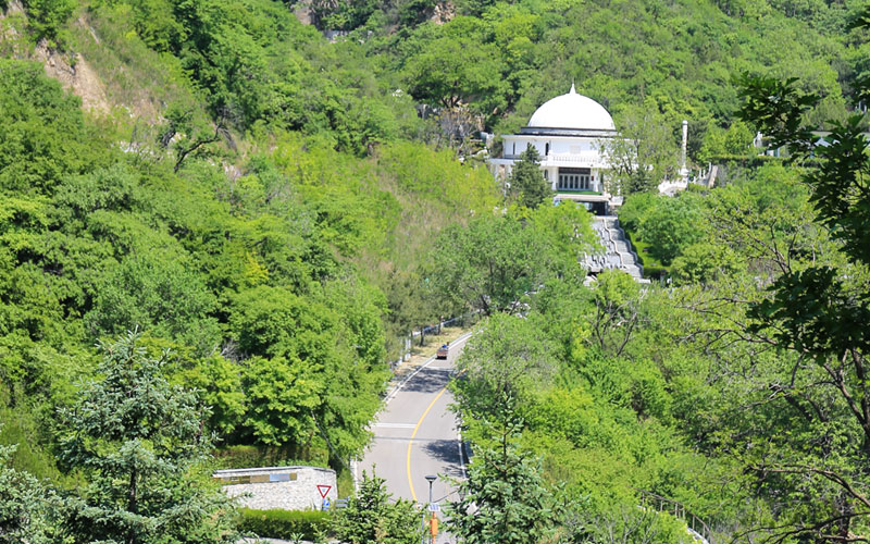 九公山园区内公路及景观