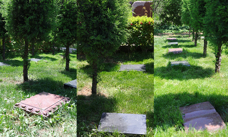 灵山宝塔陵园树葬墓型