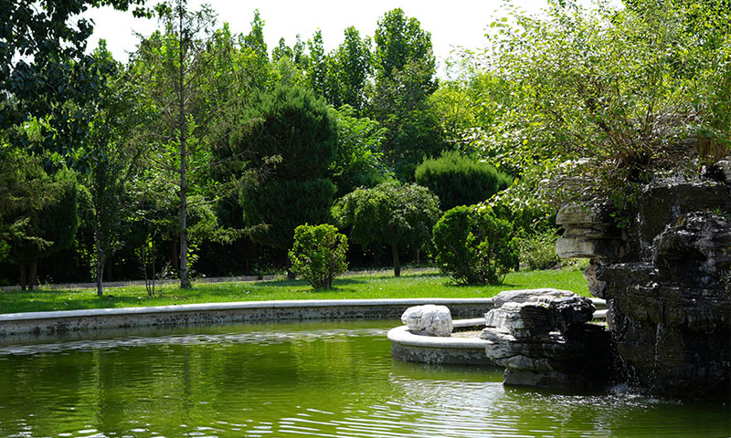 万桐园清幽环境