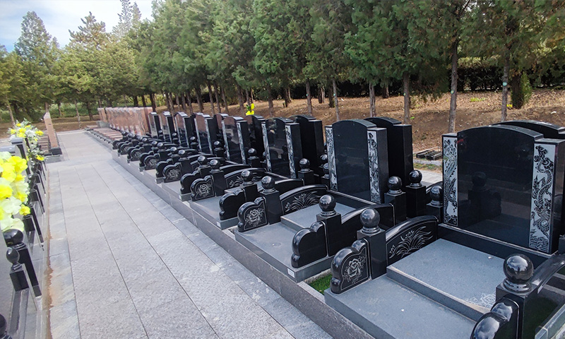 冬日的中华永久陵园@贾顾问提供