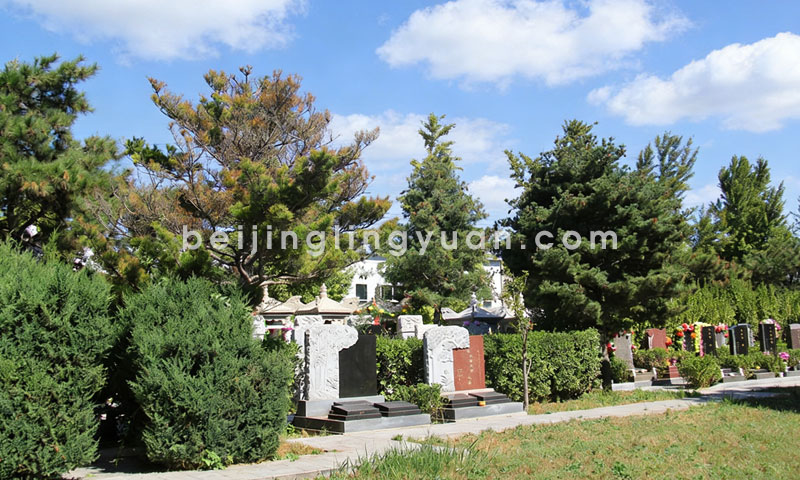 北京朝阳陵园墓区环境实拍