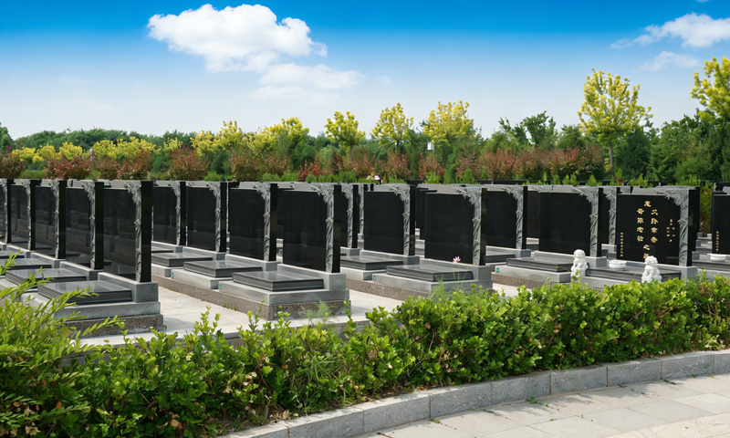 施孝园墓区环境实景图