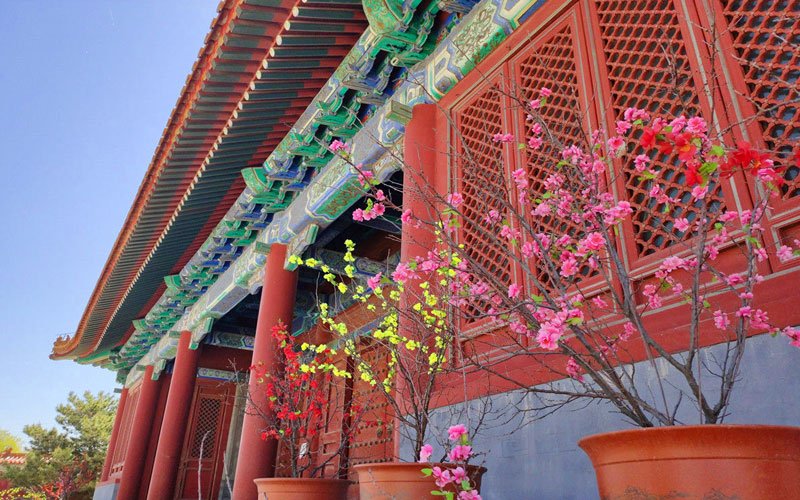 中华永久陵园实拍 中华永久陵园实拍