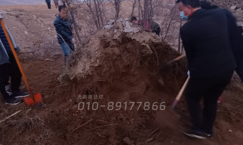 天顺祥迁坟服务现场实拍 天顺祥迁坟服务现场实拍