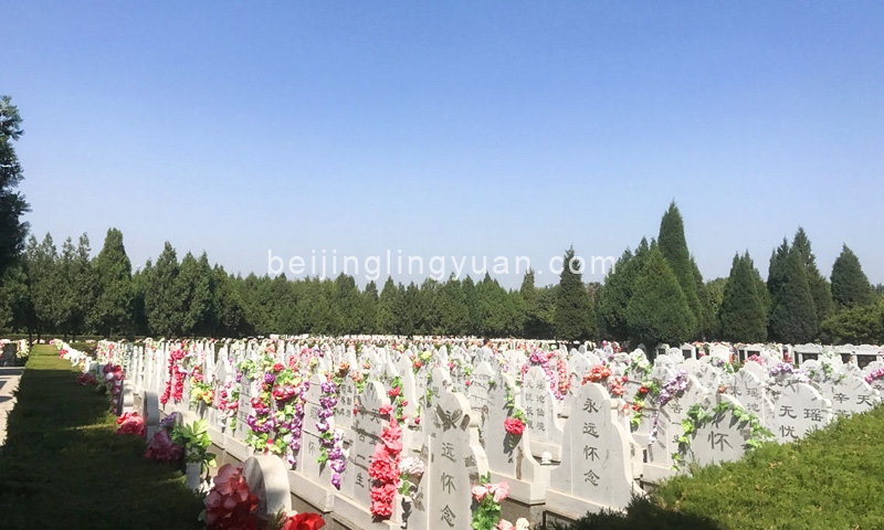 大兴天堂公墓墓区实拍