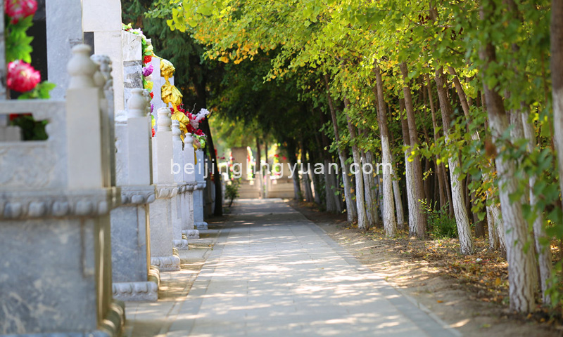 大兴天堂公墓墓区环境