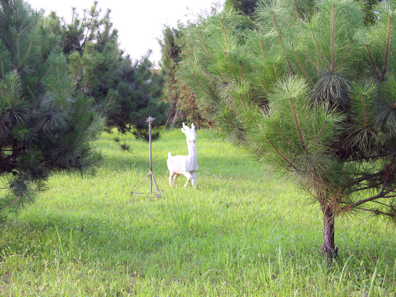 高静园公墓环境