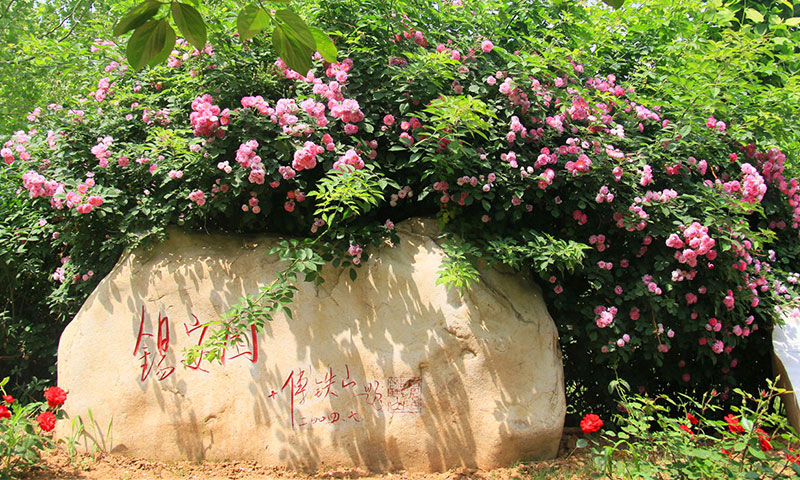 灵山宝塔陵园锡安园