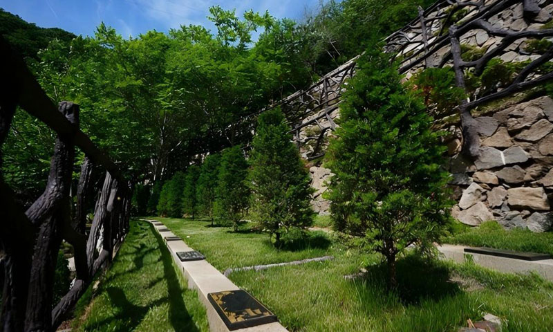 九公山长城纪念林树葬，一树一碑