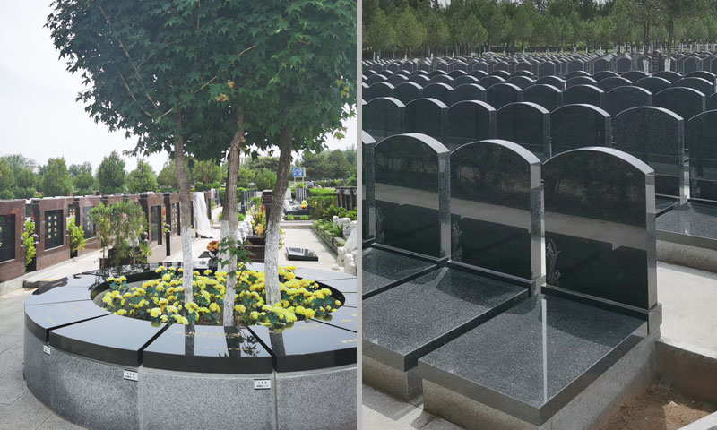 中华永久陵园树葬和31800元立碑 中华永久陵园树葬和31800元立碑