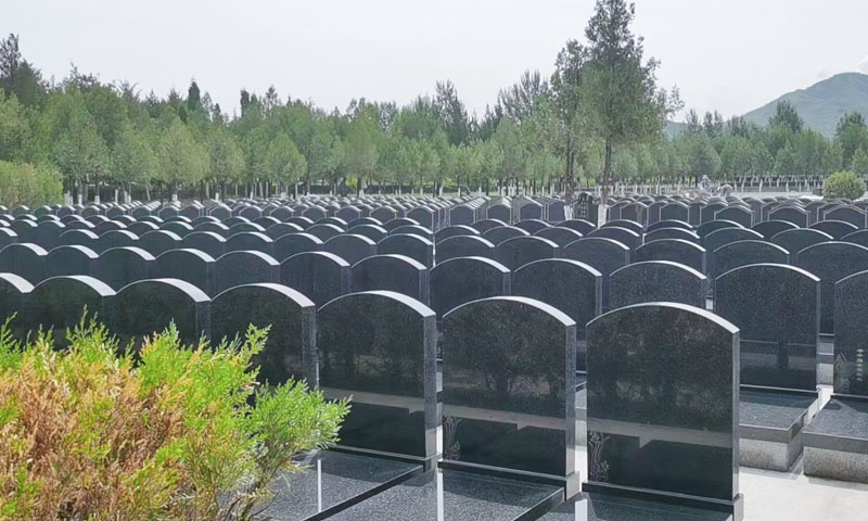 中华永久陵园惠民墓区中华1号园墓型实拍 中华永久陵园惠民墓区中华1号园墓型实拍