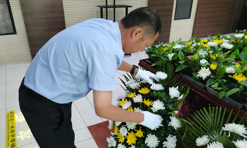 天顺祥白事管家正在整理告别厅黄白菊花 天顺祥白事管家正在整理告别厅黄白菊花