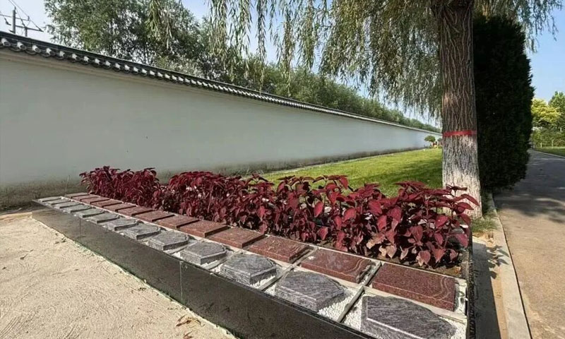 清颐园新型节地葬产品落地
