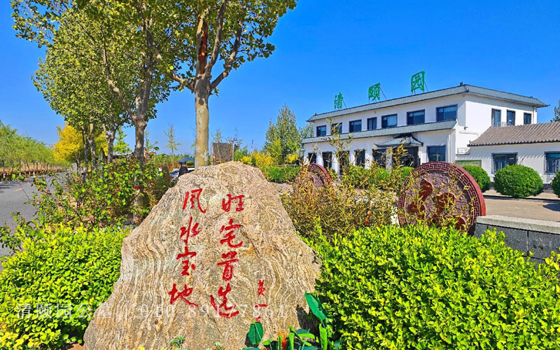 清颐园景观实拍