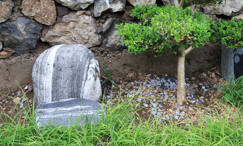 生态安葬深入人心 生态安葬深入人心