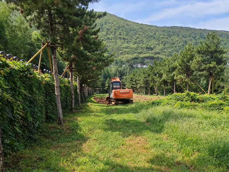 灵山宝塔陵园正在建设新墓区 灵山宝塔陵园正在建设新墓区