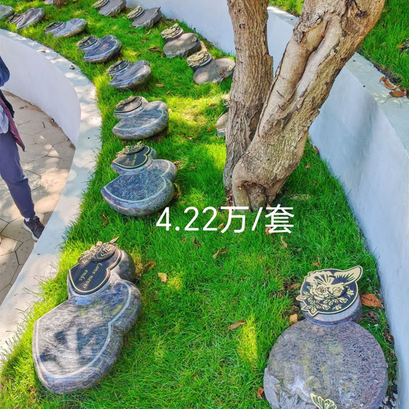 就在大树下的草坪上-安静、自然 就在大树下的草坪上-安静、自然